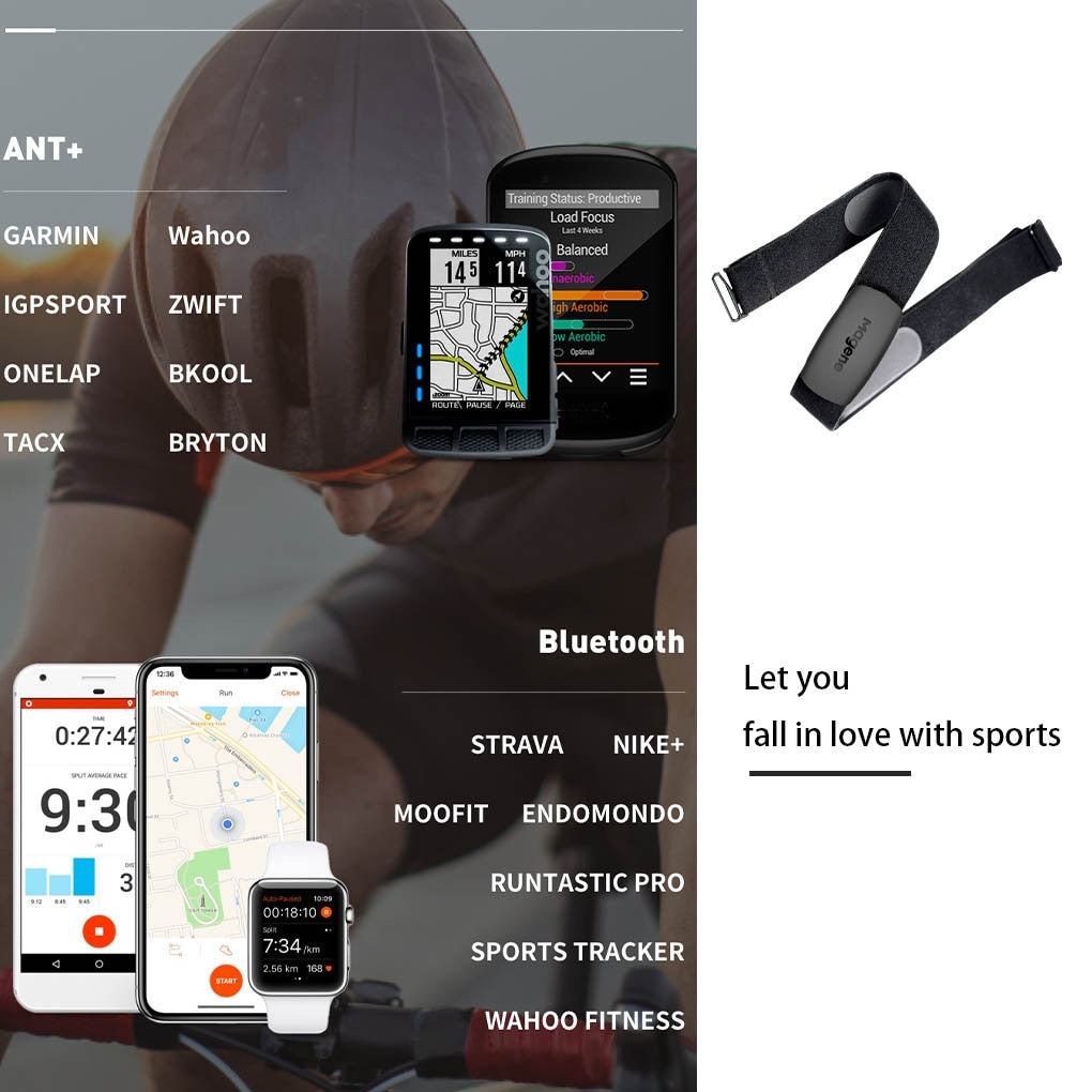 Waterproof Sports Running Sensor with Chest Strap with Ant+ and Blutooth Conectivity - Thefitnesshut.com